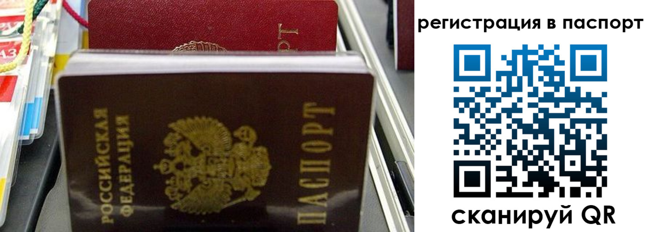 прописка для школы в Горно-Алтайске